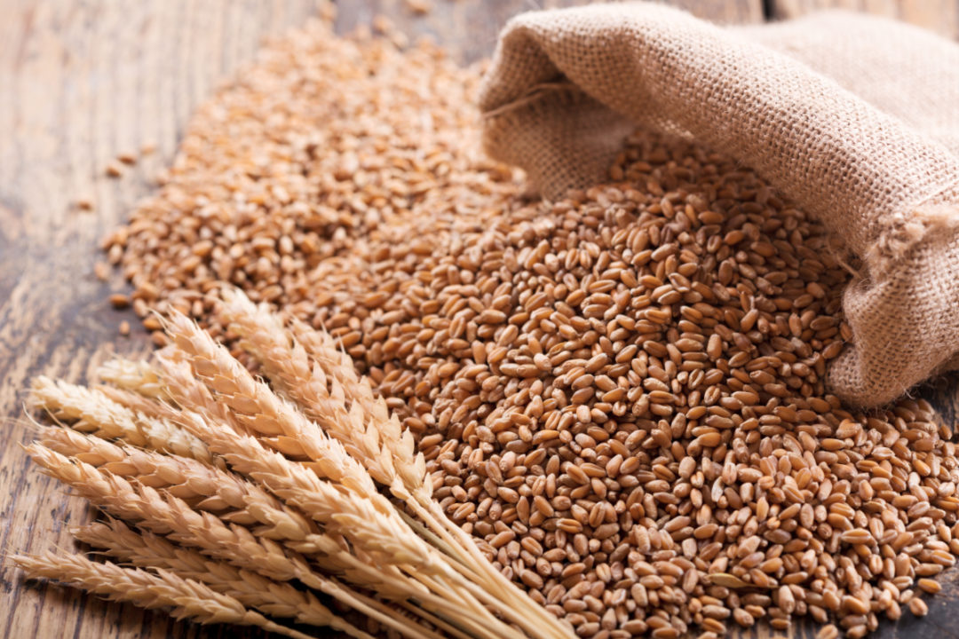 Wheat